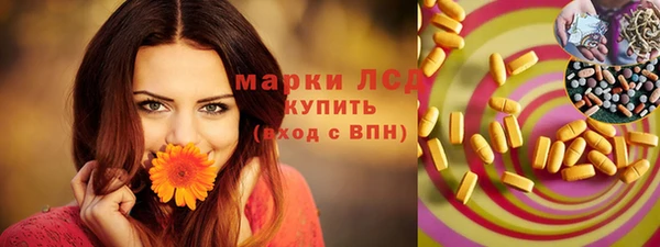 соль ск Новодвинск