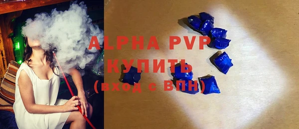 ГАЛЛЮЦИНОГЕННЫЕ ГРИБЫ Новозыбков