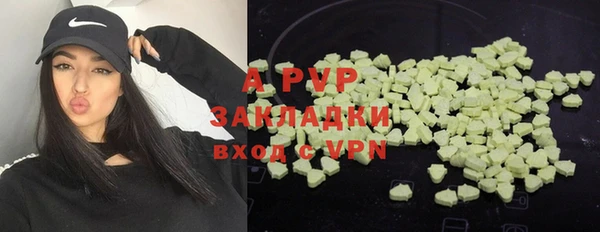 ГАЛЛЮЦИНОГЕННЫЕ ГРИБЫ Новозыбков