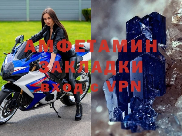 ГАЛЛЮЦИНОГЕННЫЕ ГРИБЫ Новозыбков