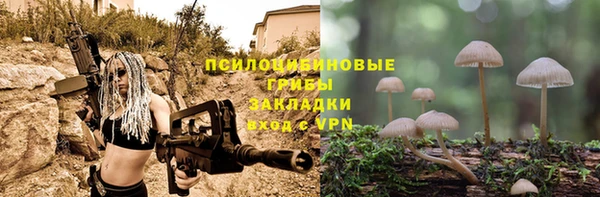 a pvp Нея