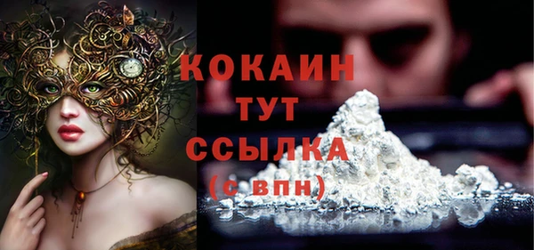 соль ск Новодвинск