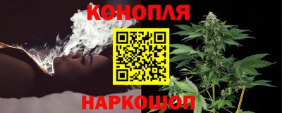 бошки Дубна