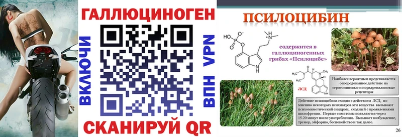 Галлюциногенные грибы мицелий  Иркутск 