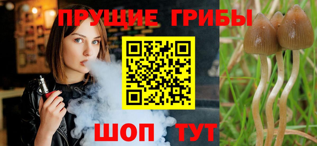 Иркутск  Псилоцибиновые грибы мухоморы  Галлюциногенные грибы мухоморы  Вход с VPN 